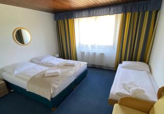 Pension Edelweiß Mitterberg - Mitterberg - 9
