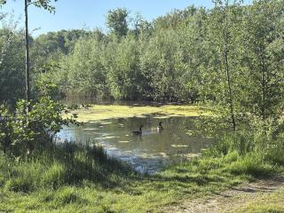 Bed en Natuur Puur 2 - 8