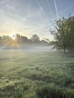 Bed en Natuur Puur 2 - 3
