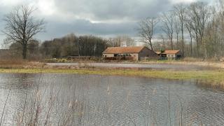 Bed en Natuur Puur 2 - 1