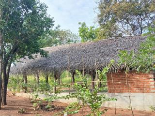 Chena Hut Habarana - Habarana - 6