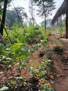 Chena Hut Habarana - Habarana - 1