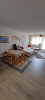 Disentiserhof Mila - Disentis - 9