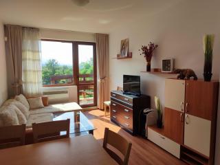 Belvedere Holiday Club SPA&POOL Private Apartments - Bansko - 4