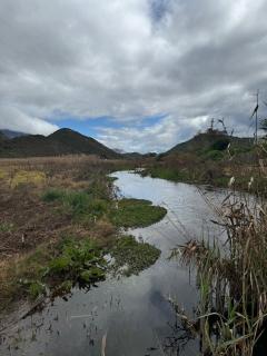 Cadle Craft Cottage - Montagu - 5