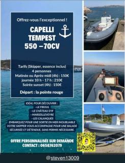 Magnifique T3 climatisé, terrasse et piscine - 1