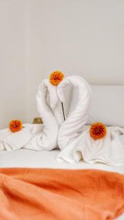 Le Cosy Nejmaa - Piscine - 4 Prs - Marrakech - Marrakech - 9