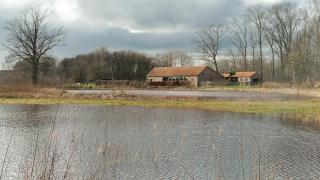 Bed en Natuur Puur - Herselt - 9