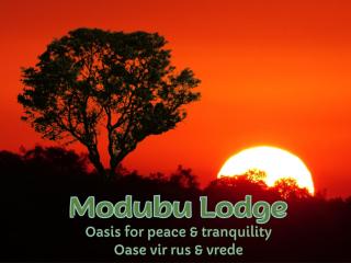 Modubu Lodge - Bela-Bela - 0