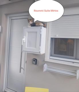 Roummi Suite Mirtos - 7