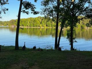 Cottage on Cypress Bay near Paris Landing State Park - New Concord - 8