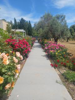 Zeituna Lodge a Porto Cesareo - Torre Lapillo - 2