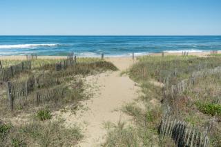 Arcadia - Kill Devil Hills - 5