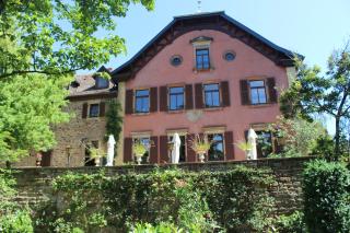 Schloss Deidesheim - 8