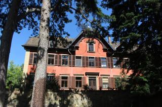 Schloss Deidesheim - 7