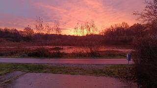 Bed en Natuur Puur - Herselt - 1