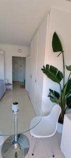 Estudio Alicante Centro - Alicante - 6