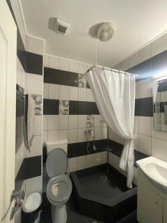 Vila Costin - camere de închiriat - 3