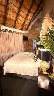 Imbube Safari Lodge - Marloth Park - 6