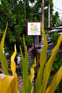 Wave Loom Hostel - Arugam Bay - 0