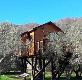 Palazzo Conforti Tree House Resort - Marano Marchesato - 8