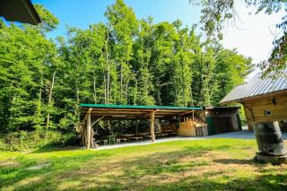 Le Chalet de la Forêt, ideal for your reunions - Guewenheim - 9