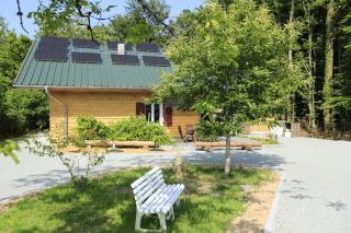 Le Chalet de la Forêt, ideal for your reunions - Guewenheim - 4