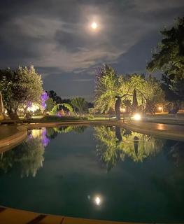 Palazzo Conforti Tree House Resort - Marano Marchesato - 9
