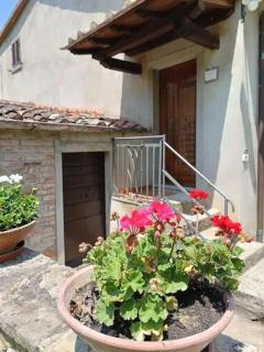 Casa dell Ulivo - Castiglion Fiorentino - 0