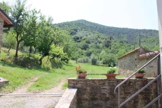 Casa dell Ulivo - Castiglion Fiorentino - 6