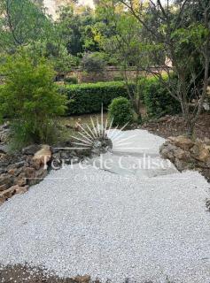 Terre de Caliso - 8