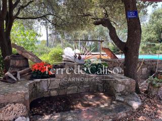 Terre de Caliso - Carnoules - 1