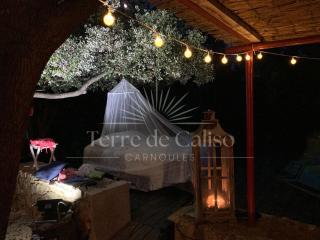 Terre de Caliso - Carnoules - 8
