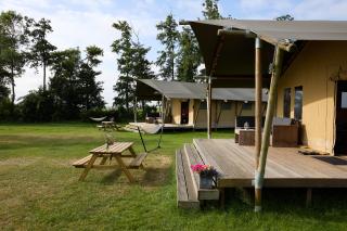 Glamping Franse Peer - Hasselt - 4