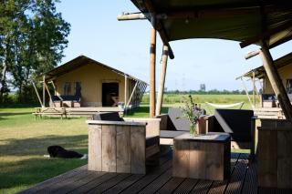 Glamping Franse Peer - Hasselt - 1