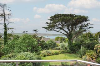 Bodare 8 - Wadebridge - 8