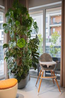 Premium Apartment Eleven - Zator - 1