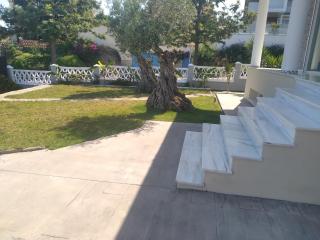 Tico - Benalmádena - 9