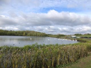 Retro Premiership Stadium of Light Eco Stopover - Monkwearmouth - 4