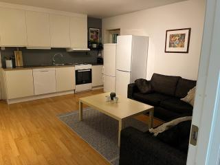 Central apartment in Lund - 0