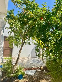 Mediterranean - Kelibia - 3