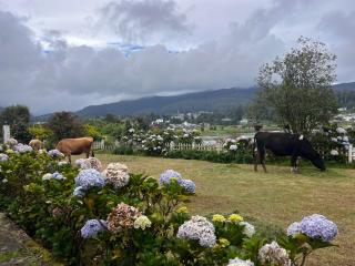 Lakeside Garden Bungalow 湖畔花园山居 - Nuwara Eliya - 4