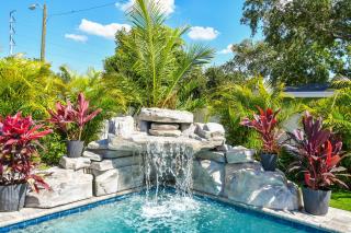 The Palm Oasis at Clearwater - Clearwater - 8