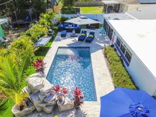 The Palm Oasis at Clearwater - Clearwater - 9