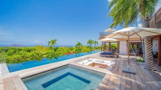 Tropical Retreat With Private Infinity Pool - Gustavia - 5