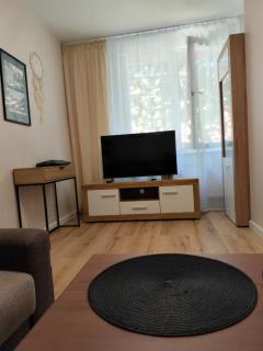 Stay in Żabi Kruk - Danzica - 7