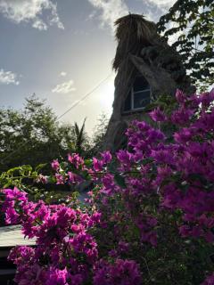 Jungla Bacalar - Bacalar - 9