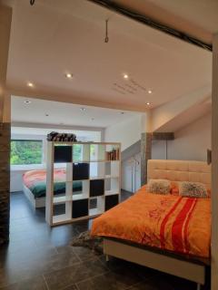 Laura's house - Slovenj Gradec - 1