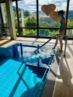 B&B Apart Hotel Goldener Hahn - nahe an Gartenschau Tal X - Baiersbronn - 9