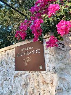 Masseria Luci Grande - Scorrano - 9